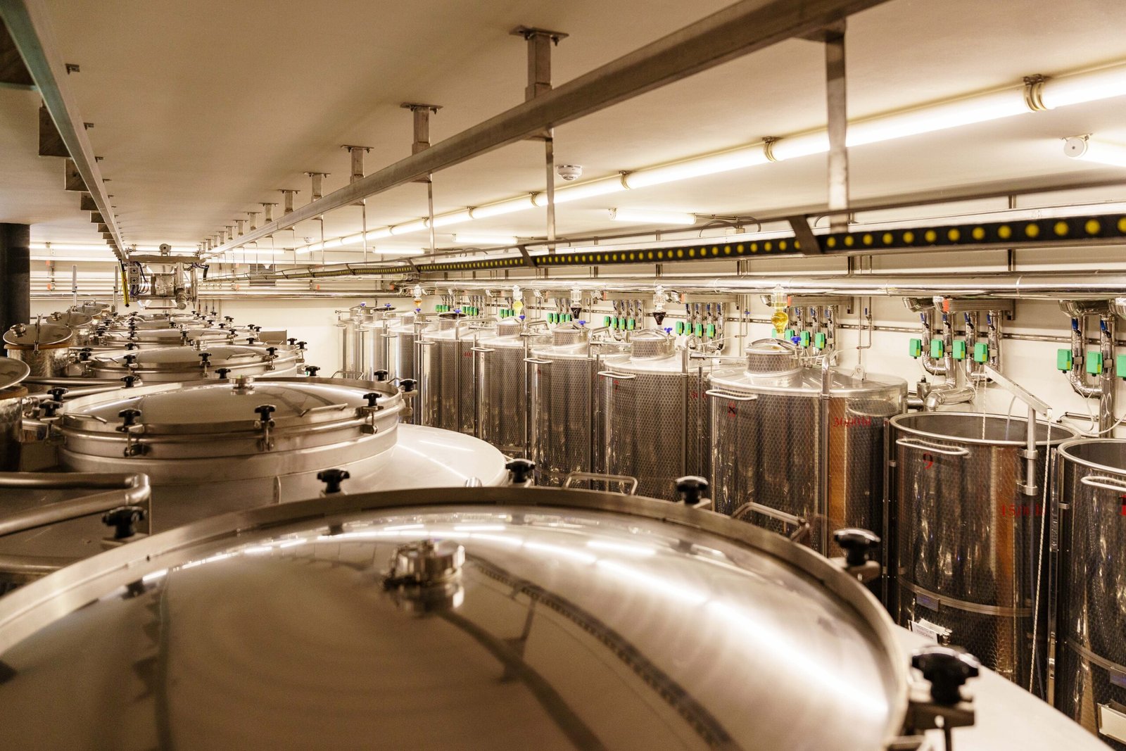 Stainless steel tanks in a winery production room