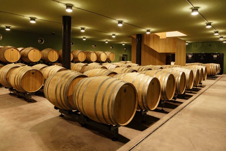 Ageing Cellar Guest tasting a glass of white wine at a winery