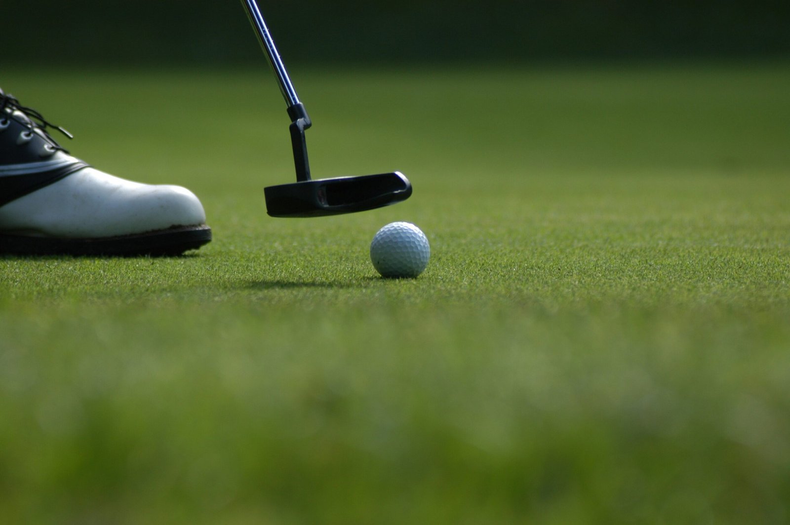 Golf ball and putter on a green