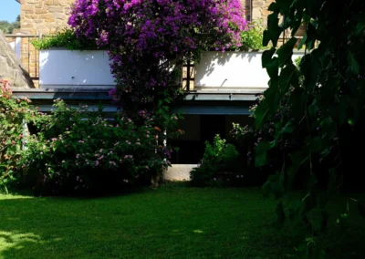 Lawn and flowering garden with purple bougainvillea in front of Villa Monte Bianco
