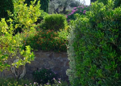 Lemon tree and flowering plants on the garden terraces of Villa Monte Bianco