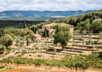 Stone villa and farm buildings surrounded by vineyards, olive groves and wooded hills near Monteriggioni