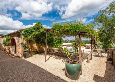 Stone courtyard with vine pergola, large plant pots and outdoor seating at the villa
