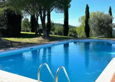 Edge of the swimming pool with ladder, pine trees and cypresses