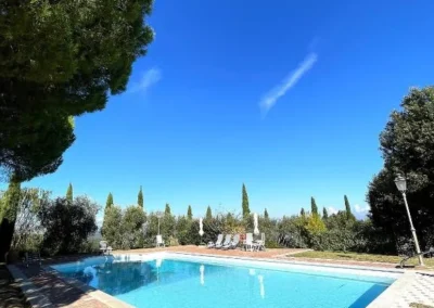 Swimming pool with sun loungers framed by pine trees and cypresses